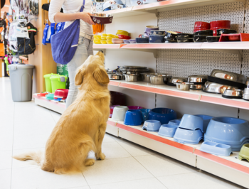 Pet Supplies Spend Less to Get More Veterinarians Downsview